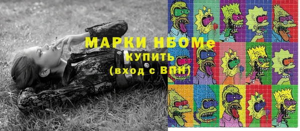 соль ск Лагань