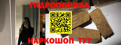 прущие грибы Бийск