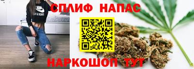 гашик Ирбит