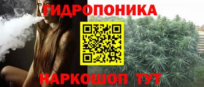 гашик Ирбит