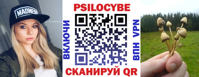 Галлюциногенные грибы Cubensis  это наркотические препараты  Курганинск 