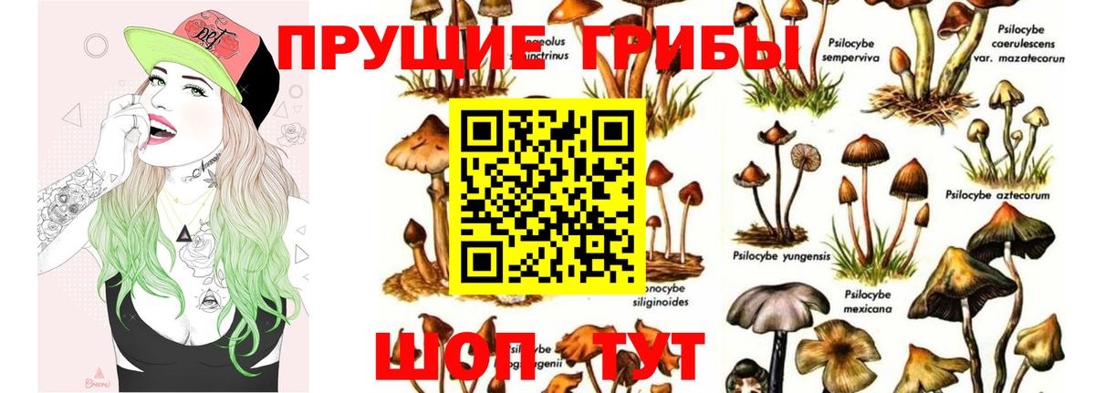 Псилоцибиновые грибы MAGIC MUSHROOMS  Галлюциногенные грибы прущие грибы  Вход с VPN  Курганинск 